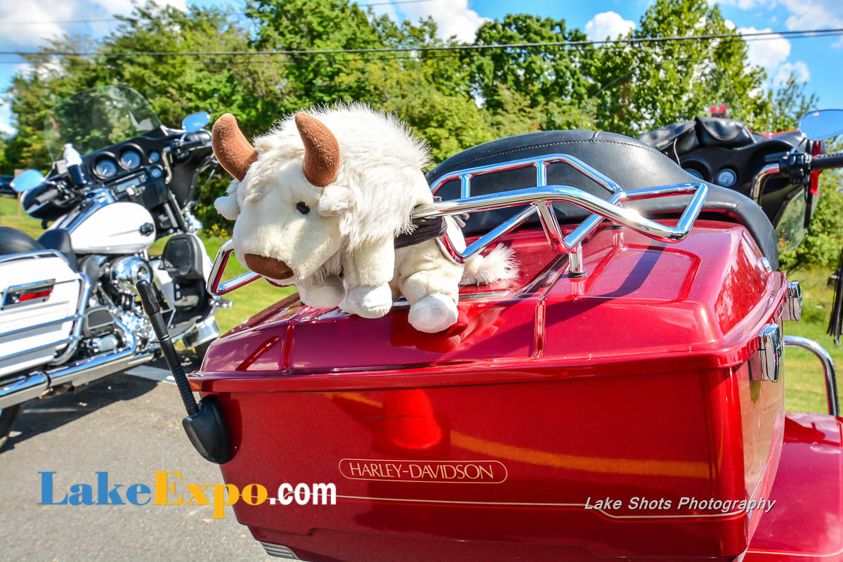 Bikefest 2018 010-10.jpg